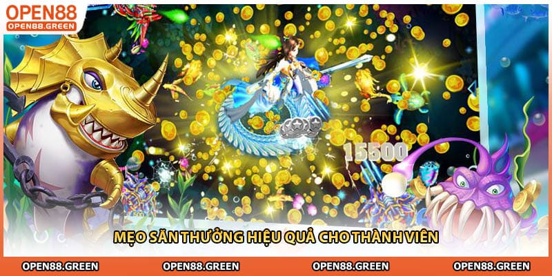 Mẹo săn thưởng hiệu quả cho thành viên